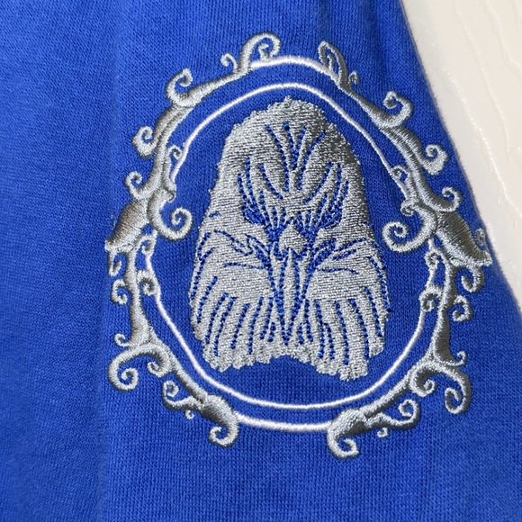 Official Wizarding World of Harry Potter Ravenclaw House Hoodie - Picture 3 of 4
